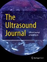 Optic nerve sheath diameter measurement for the paediatric patient with an acute deterioration in consciousness