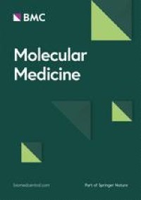 β-aminoisobutyrics acid, a metabolite of BCAA, activates the AMPK/Nrf-2 pathway to prevent ferroptosis and ameliorates lung ischemia-reperfusion injury