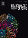 Downregulation of KCNMA1 in mice accelerates auditory hair cells senescence via ferroptosis