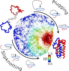 Exploring the Folding Landscape of Leptin: Insights into Threading Pathways