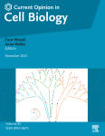 Compartmentalization, cooperation, and communication: The 3Cs of Hepatocyte zonation