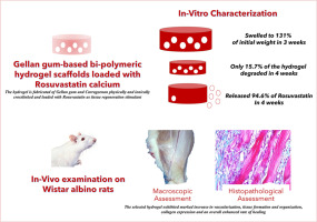Gellan gum-based bi-polymeric hydrogel scaffolds loaded with Rosuvastatin calcium: A useful tool for tendon tissue regeneration