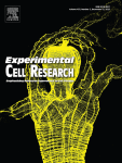 Circular RNA SLC8A1 triggers hippocampal neuronal ferroptosis by regulating FUS-mediated ATF3 mRNA stability in epilepsy