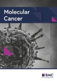 Safety and efficacy of a novel anti-CD19 chimeric antigen receptor T cell product targeting a membrane-proximal domain of CD19 with fast on- and off-rates against non-Hodgkin lymphoma: a first-in-human study