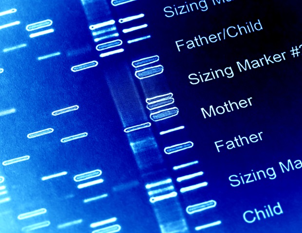 Study unlock secrets of Zika virus's multipurpose enzyme and reveals therapeutic vulnerability