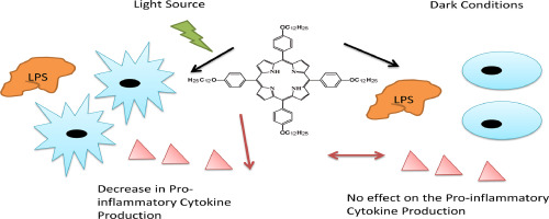 Photodynamic anti-inflammatory activity of meso-aryl substituted porphyrin derivative on mammalian macrophages