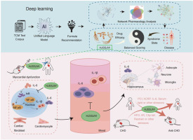 Model informed Precision Medicine of Chinese Herbal Medicines Formulas- A Multi-scale Mechanistic Intelligent Model