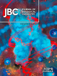 Structural characterization and functional insights into the Type II Secretion System of the poly-extremophile Deinococcus radiodurans