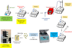 Folic acid-conjugated cancer drug curcumin-loaded albumin nanoparticles: Investigation of curcumin release kinetics