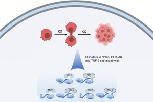 RNA-binding MSI proteins and their related cancers: A medicinal chemistry perspective
