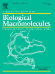 Waste to value: Enhancing xanthan gum hydrogel with wine lees extract for optimal performance