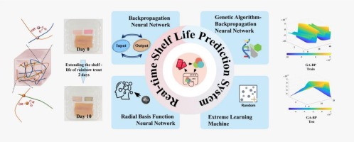 Preparation of multifunctional hydrogels based on co-pigment-polysaccharide complexes and establishment of a machine learning monitoring platform