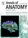 Immunohistochemical detection of PIEZO1 and PIEZO2 in human digital Meissner´s corpuscles