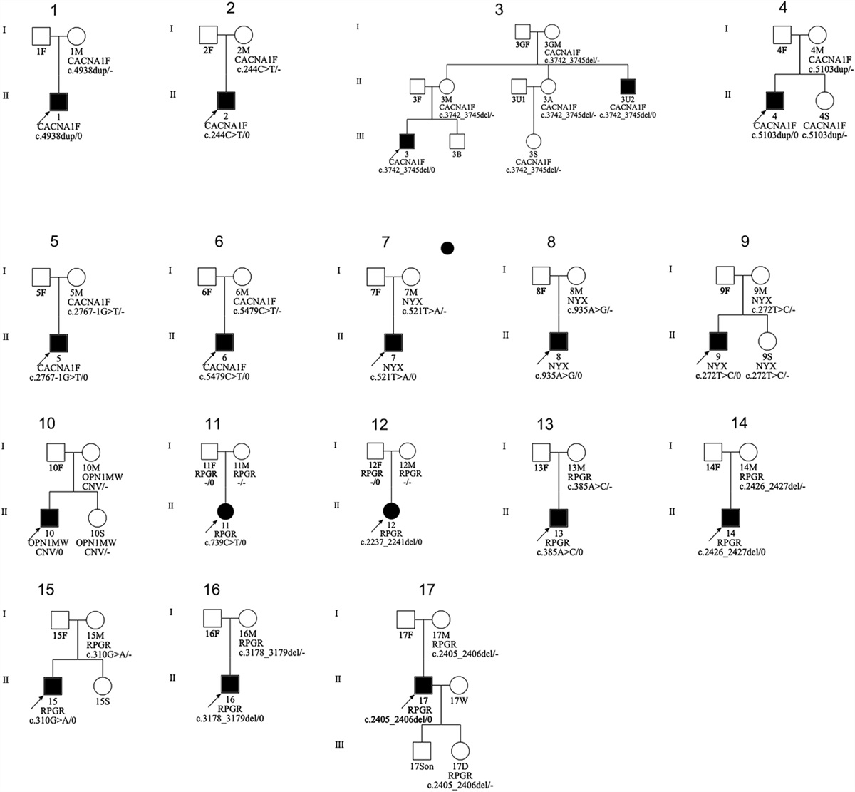 HIGH MYOPIA IS COMMON IN PATIENTS WITH X-LINKED RETINOPATHIES: Myopic Maculopathy Analysis