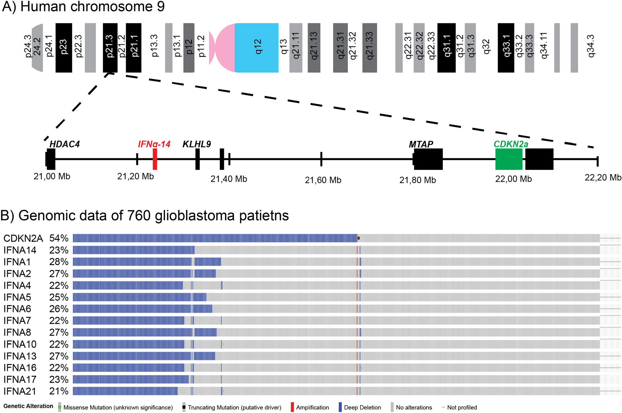 FISH analysis reveals CDKN2A and IFNA14 co-deletion is heterogeneous and is a prominent feature of glioblastoma