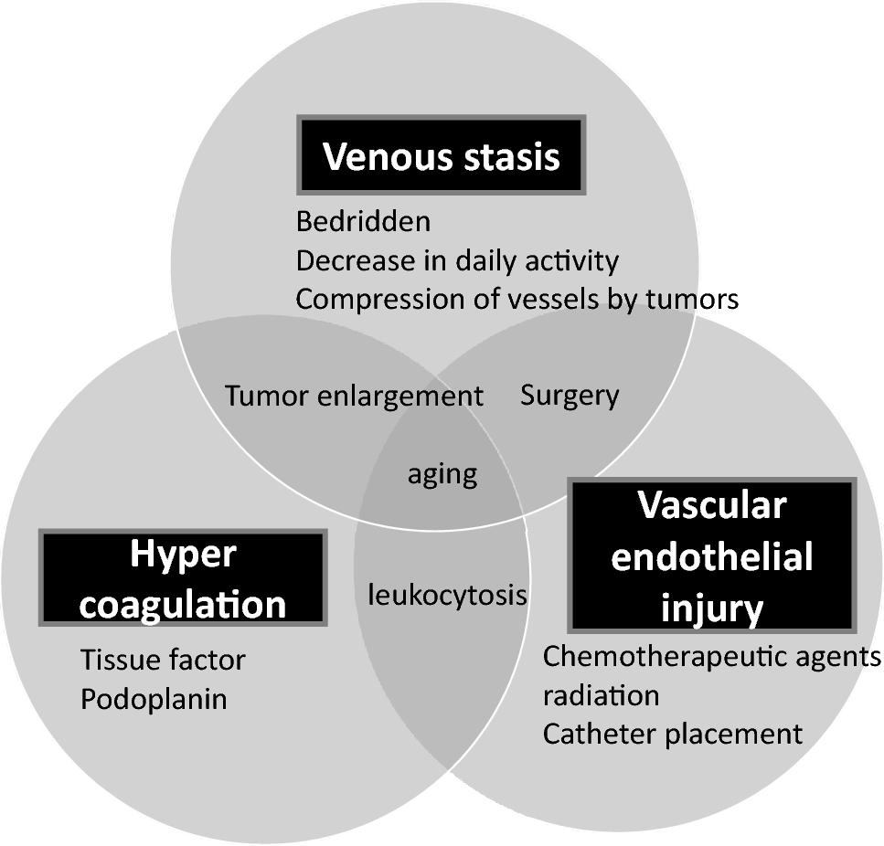 Cancer-associated thrombosis and bleeding