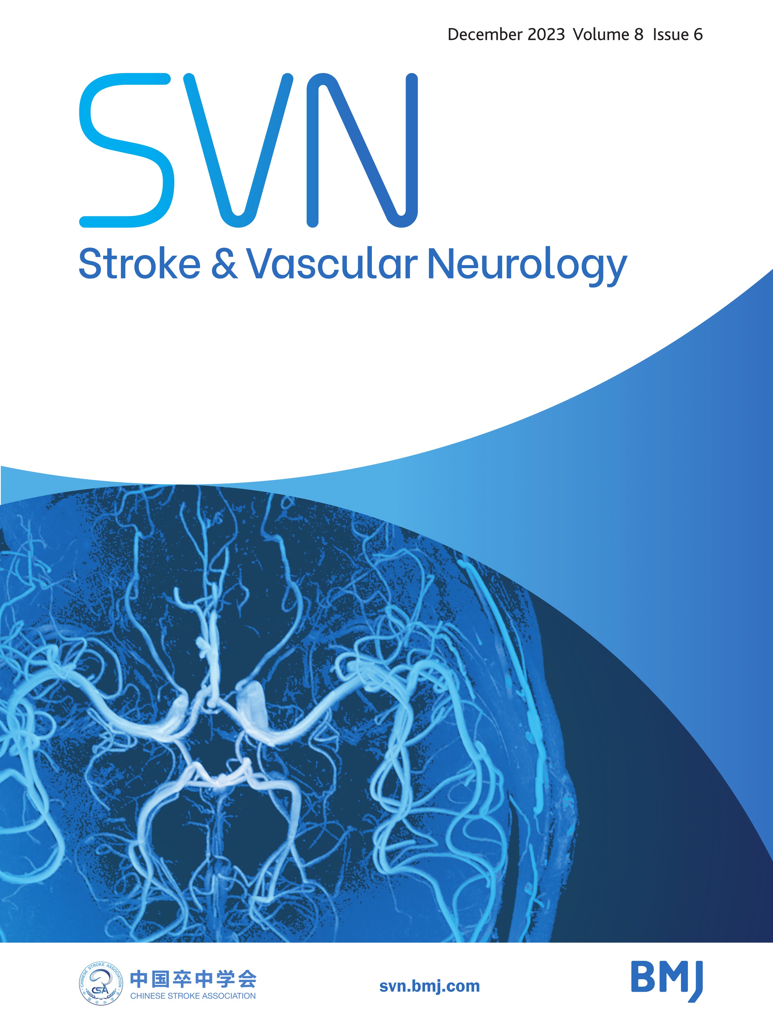 Cerebral haemodynamics in symptomatic intracranial atherosclerotic disease: a narrative review of the assessment methods and clinical implications