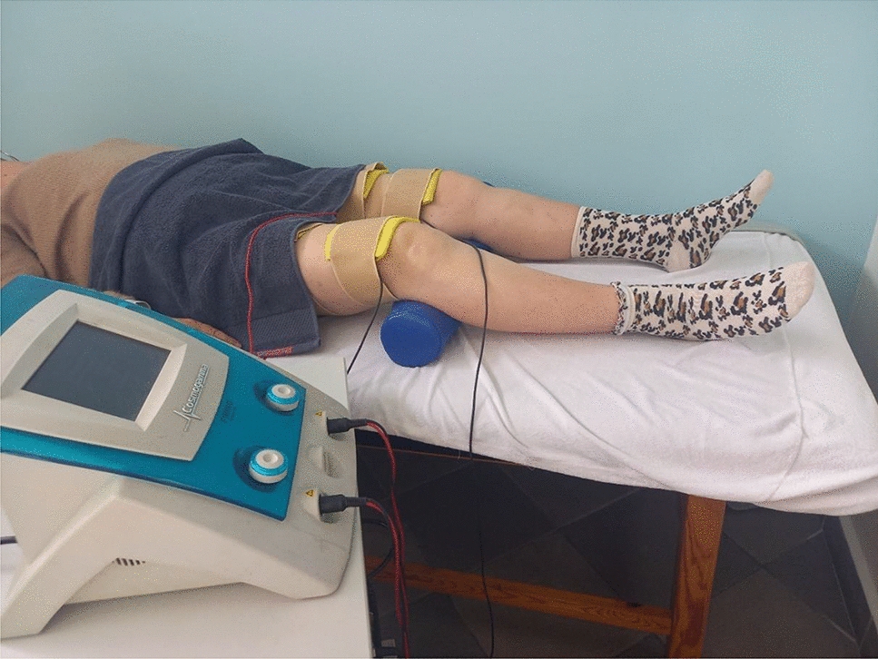 Effects of 12 weeks of neuromuscular electrical stimulation of the quadriceps muscles on the function and physio-biochemical traits in functionally fit female nursing-home residents aged 75 + years: a pilot study