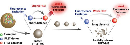 Visualization and correlation of drug release of risperidone/clozapine microspheres in vitro and in vivo based on FRET mechanism