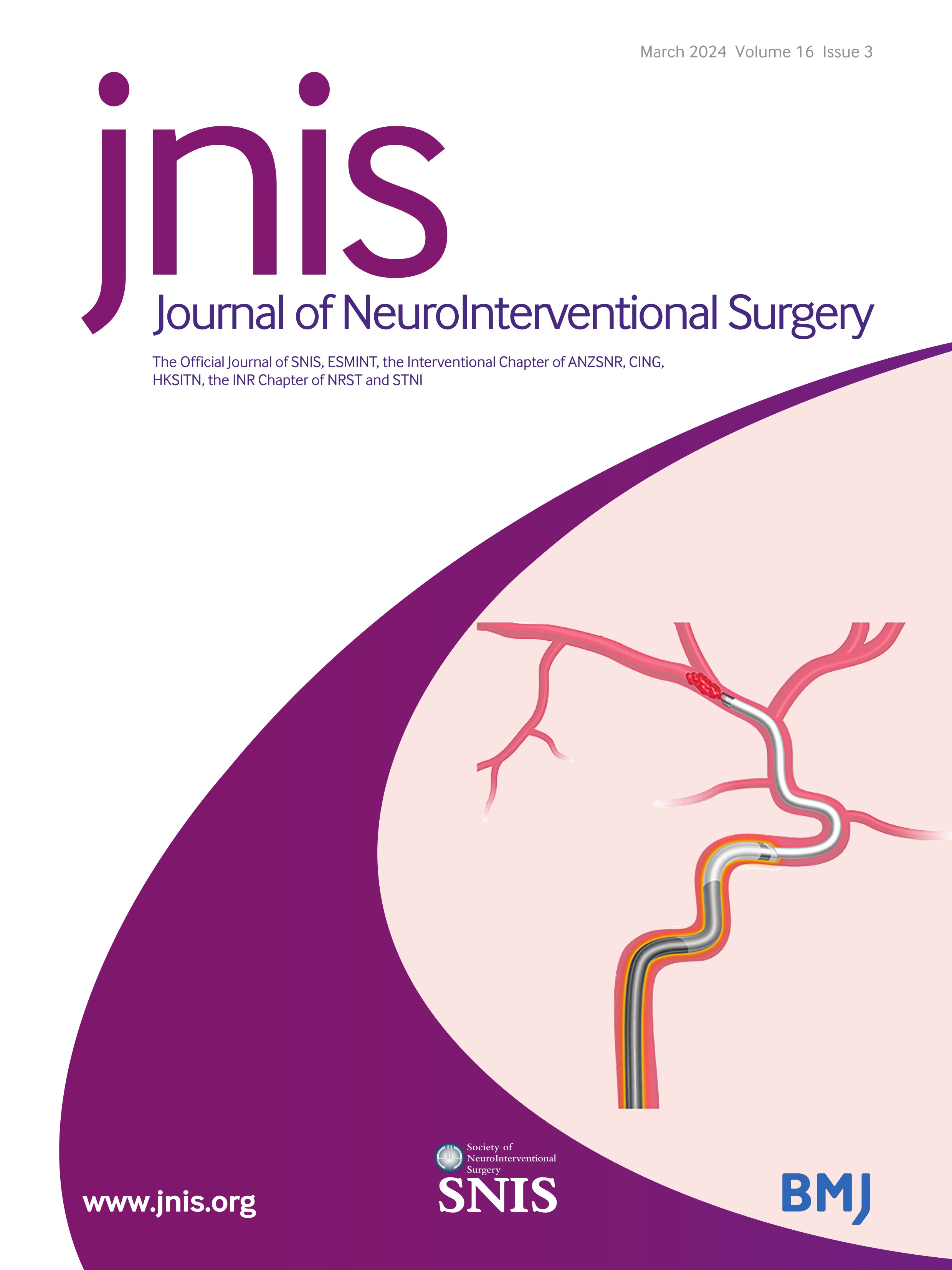 WEB shape modifications: angiography-histopathology correlations in rabbits