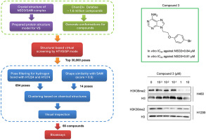 Discovery of potent small molecule inhibitors of histone lysine methyltransferase NSDs