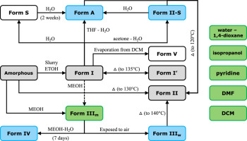 Water-mediated phase transformations of posaconazole: An intricate jungle of crystal forms