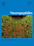 Localization of truncated TrkB and co-expression with full-length TrkB in the cerebral cortex of adult mice