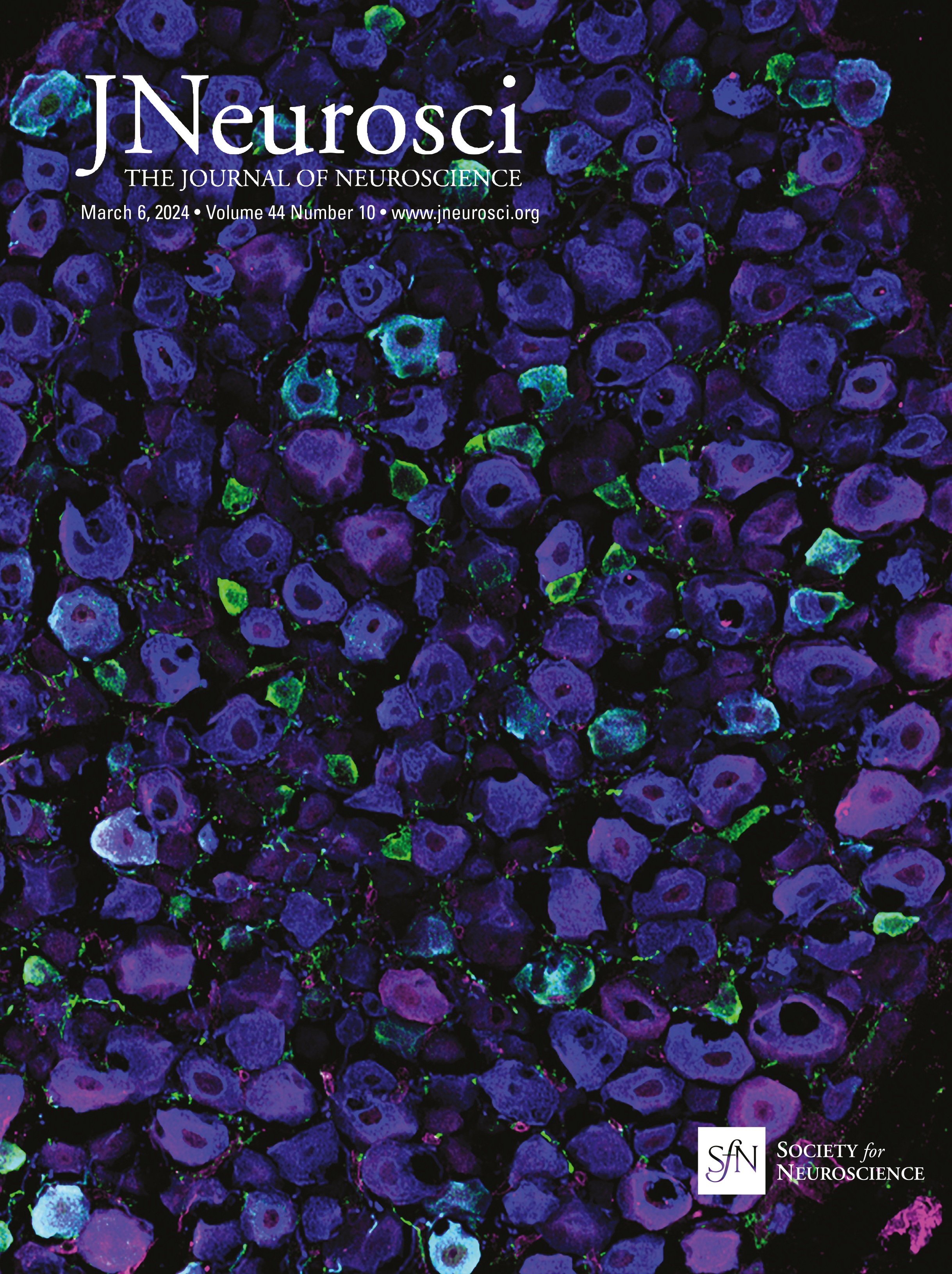 Parvalbumin and Somatostatin: Biomarkers for Two Parallel Tectothalamic Pathways in the Auditory Midbrain