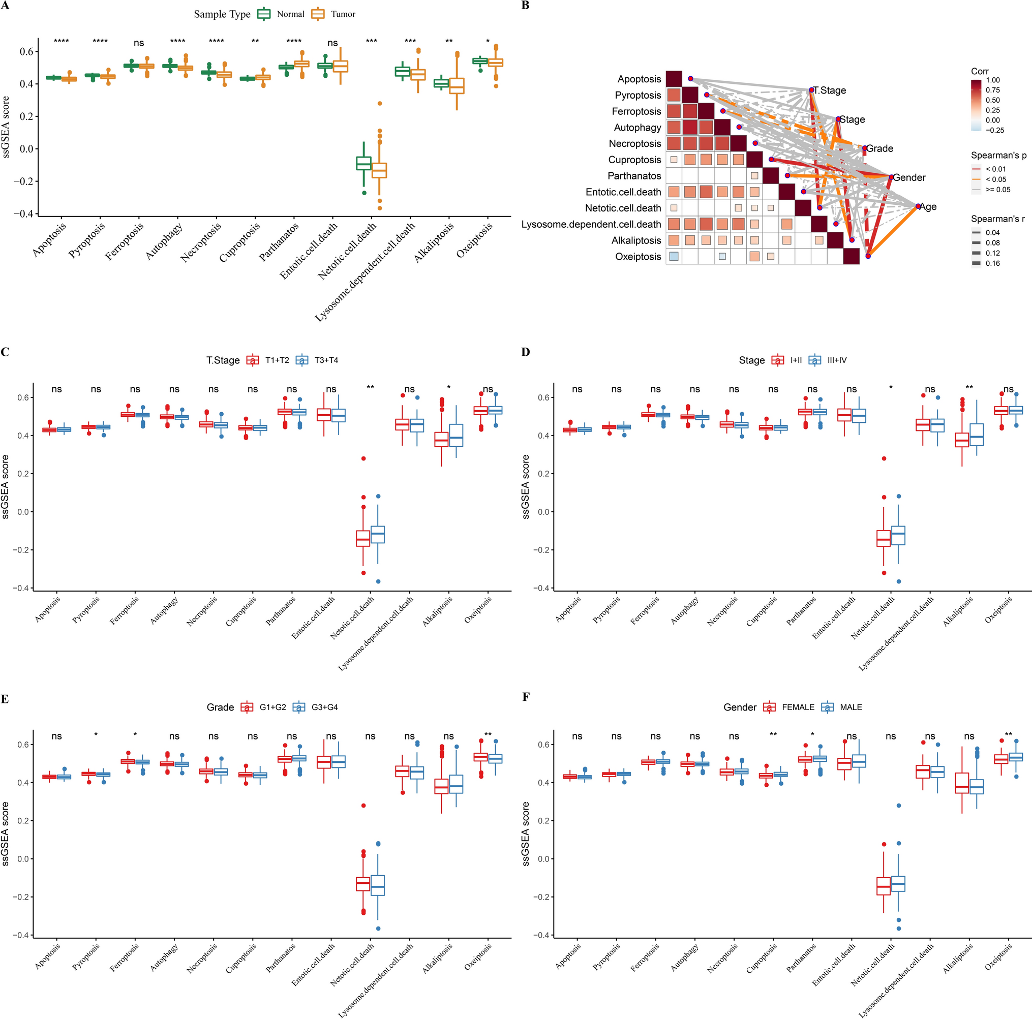 A programmed cell death-related gene signature to predict prognosis and therapeutic responses in liver hepatocellular carcinoma