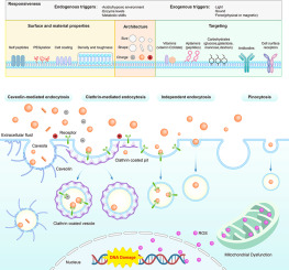 Progress and application of intelligent nanomedicine in urinary system tumors