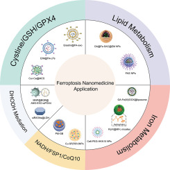 Mechanisms and therapeutic targets of ferroptosis: Implications for nanomedicine design