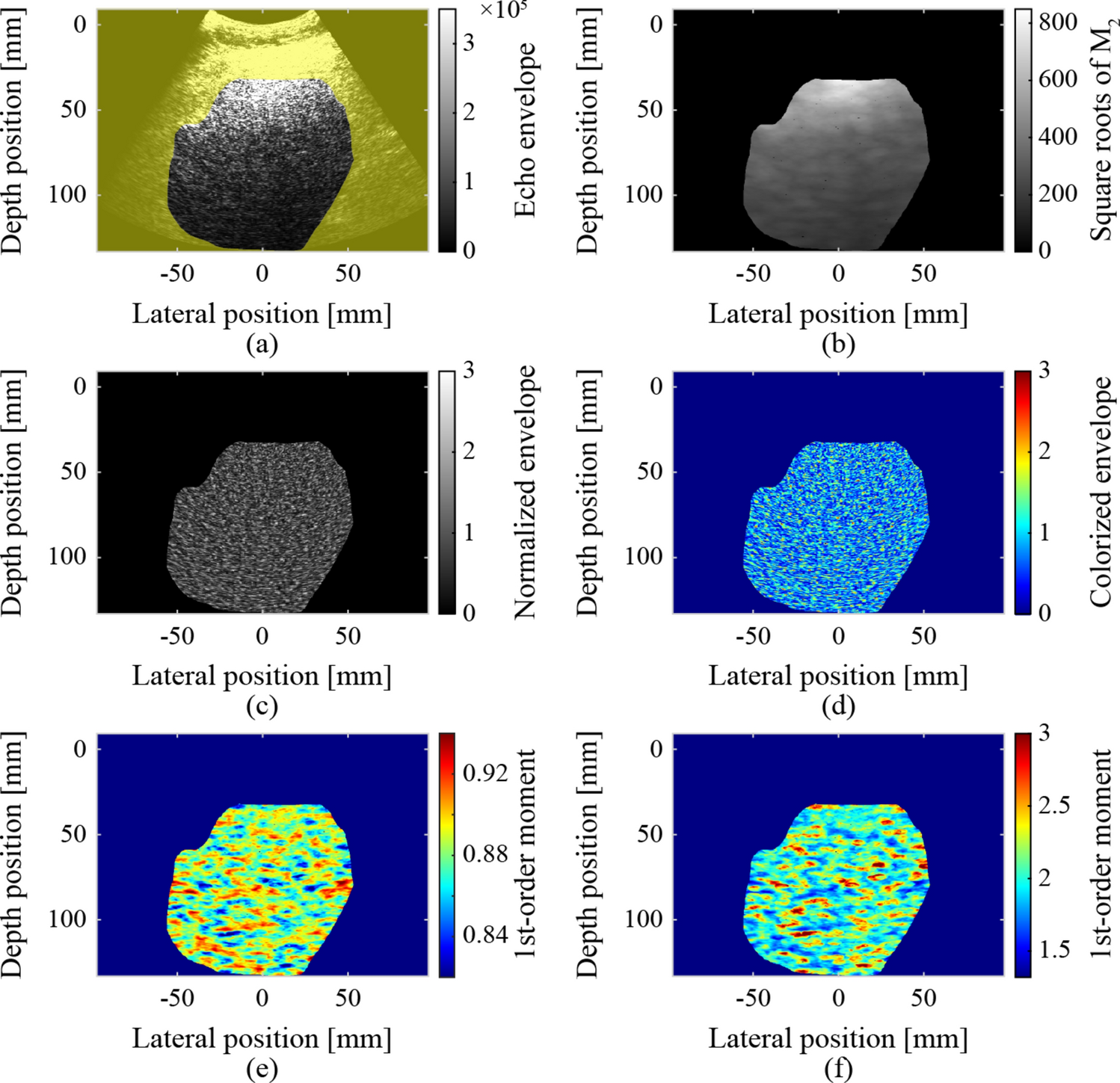 Convolutional neural network classification of ultrasound parametric images based on echo-envelope statistics for the quantitative diagnosis of liver steatosis