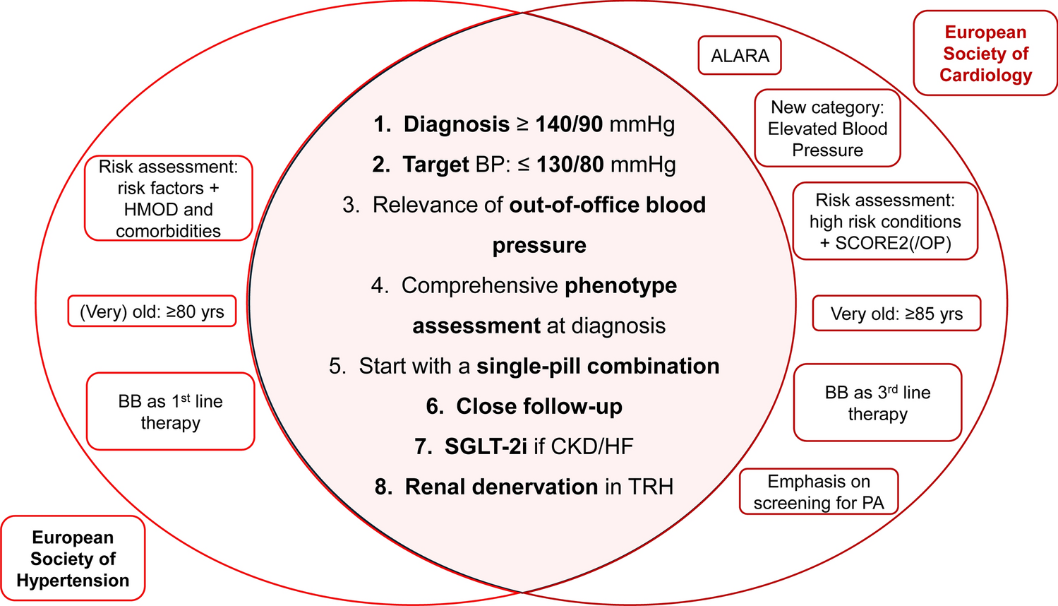 Juxtaposing Hypertension Guidelines: Are They Different? A Pragmatic Look to ESC and ESH Guidelines on (Arterial) Hypertension