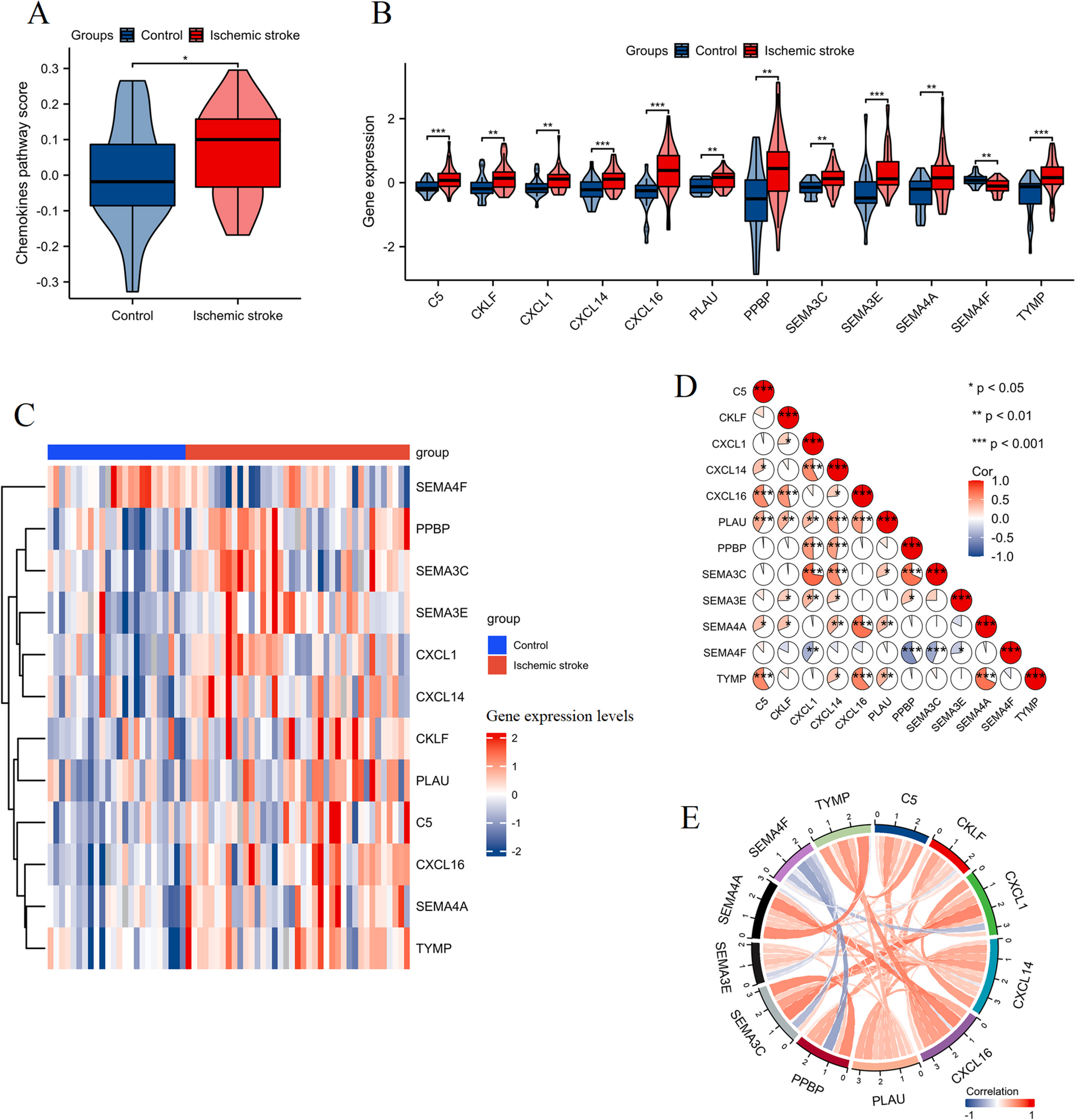 Exploring the Role of Chemokine-Related Gene Deregulation and Immune Infiltration in Ischemic Stroke: Insights into CXCL16 and SEMA3E as Potential Biomarkers