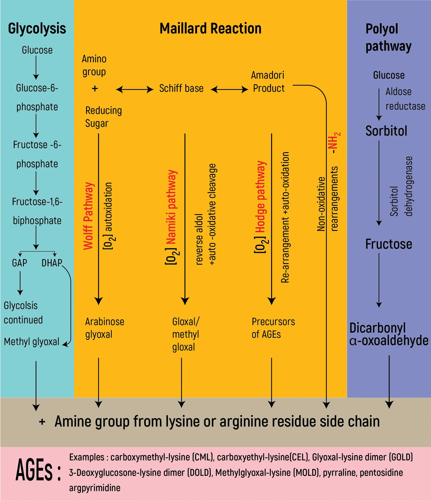 Advanced Glycation End Products in Neurodegenerative Diseases