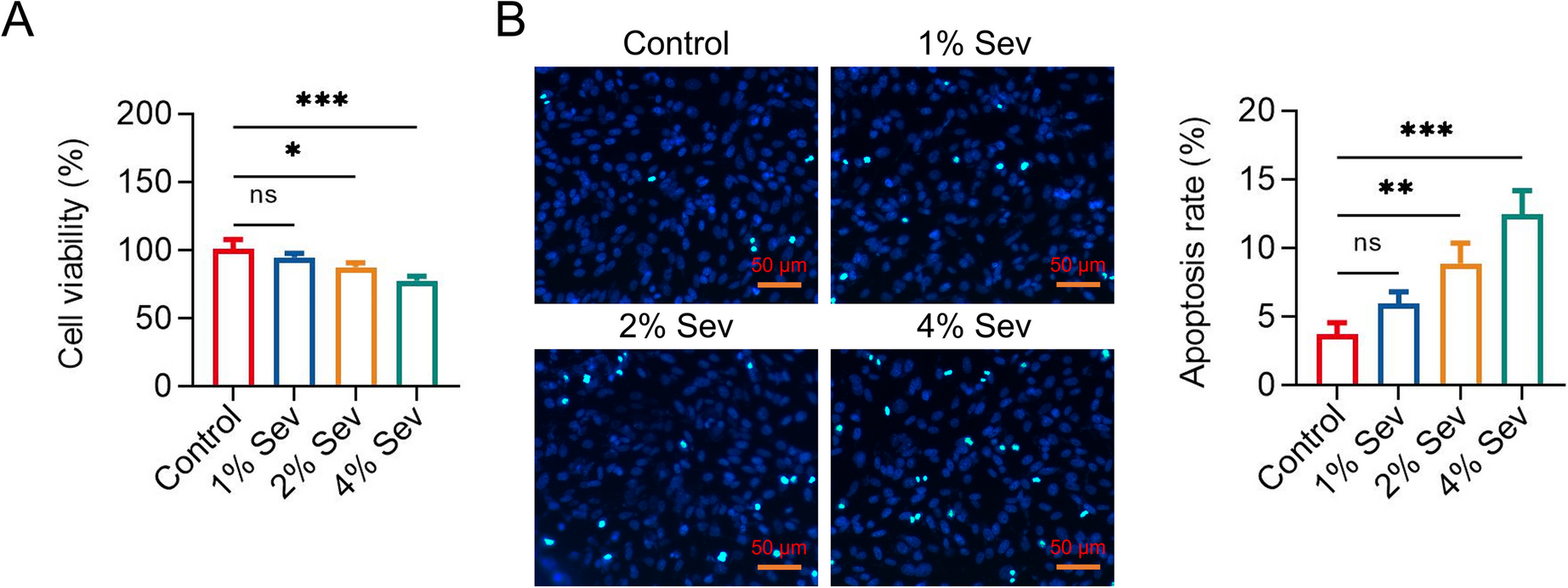 The Inhibition of Reactive Oxygen Species Modulator 1 Attenuates Sevoflurane-Induced Neural Injury via Reducing Apoptosis and Oxidative Stress
