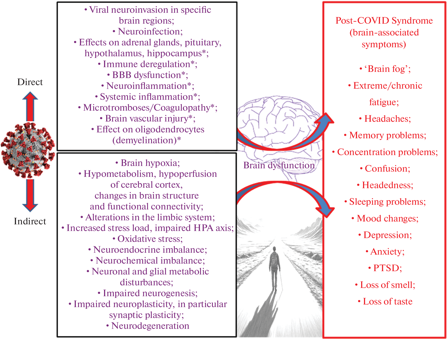 Brain Mechanisms Involved in Post COVID Syndrome: A Narrative Review
