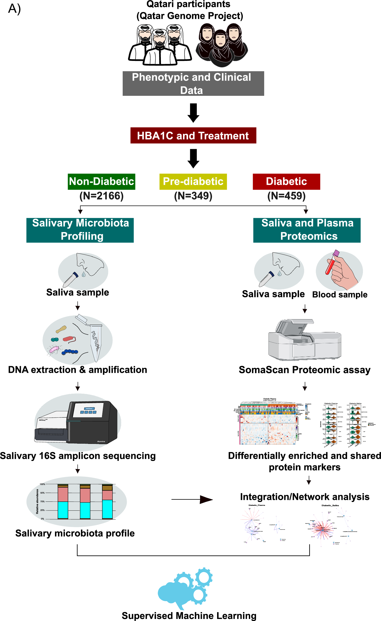 Microbial and proteomic signatures of type 2 diabetes in an Arab population