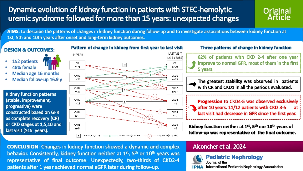 Dynamic evolution of kidney function in patients with STEC-hemolytic uremic syndrome followed for more than 15 years: unexpected changes