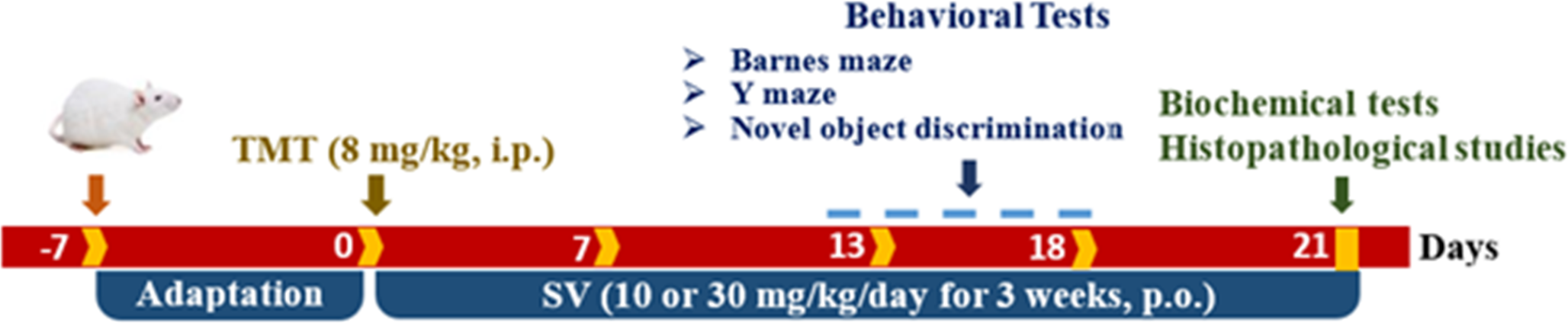 HMG-CoA reductase inhibitor simvastatin ameliorates trimethyltin neurotoxicity and cognitive impairment through reversal of Alzheimer’s-associated markers