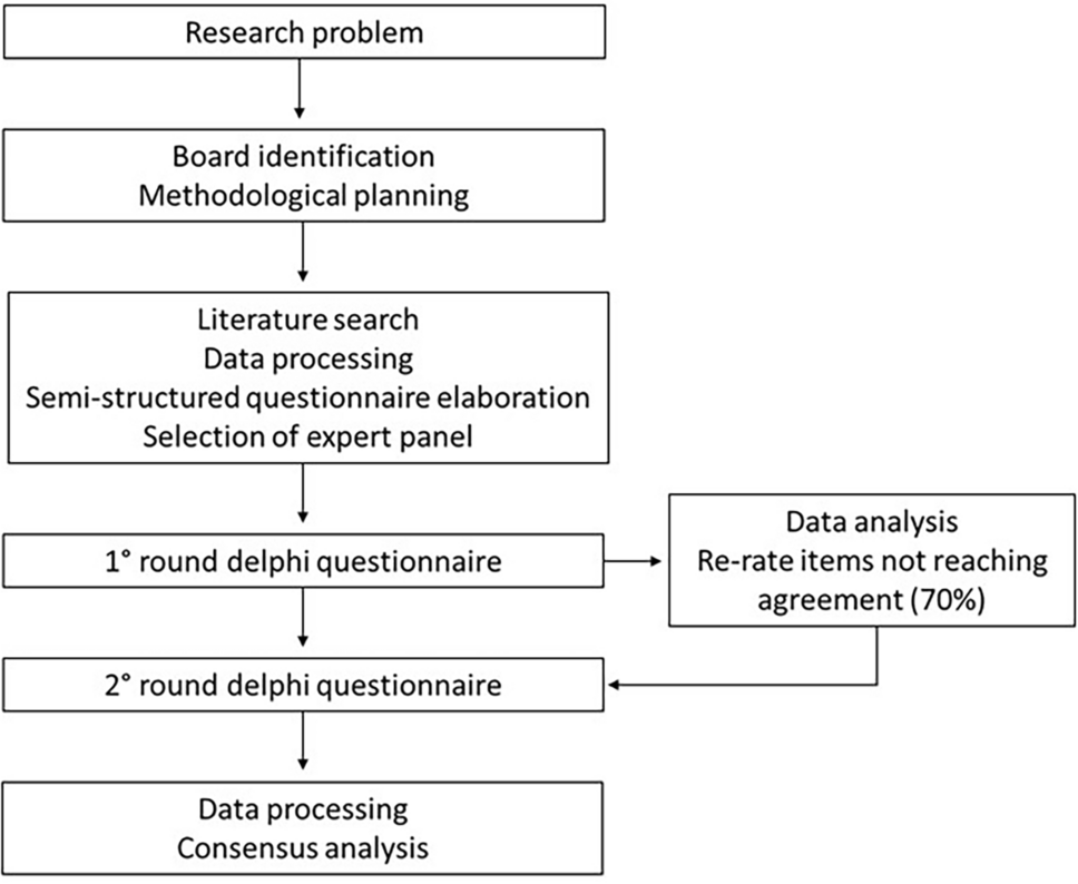 Endoscopic Epidurolysis for the Management of Chronic Spinal Pain: A Delphi-Based Italian Experts Consensus