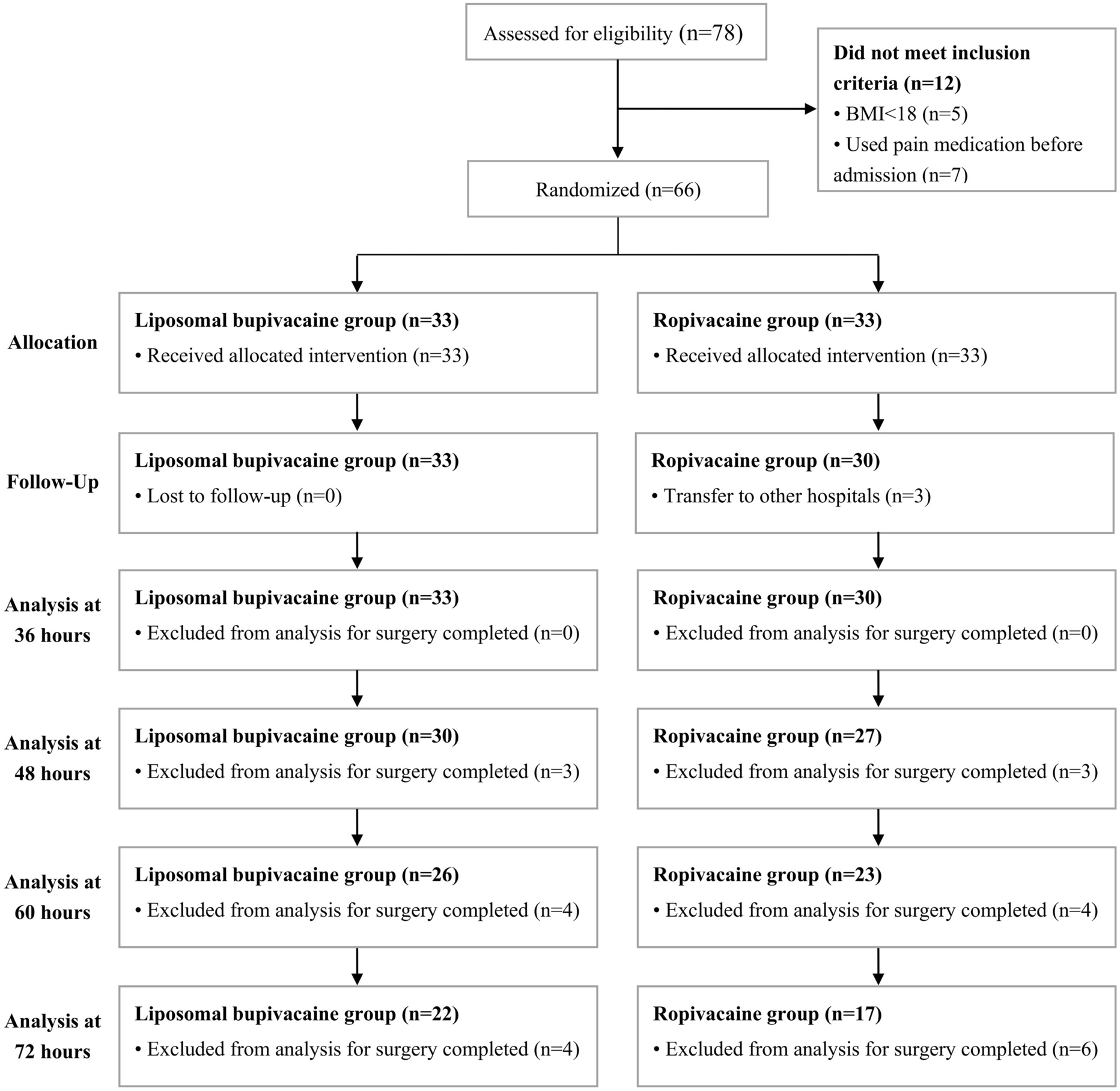 Preoperative Analgesia Efficacy of Liposomal Bupivacaine Following Pericapsular Nerve Group (PENG) Block in Patients with Hip Fracture: A Randomized Controlled Observer-Blinded Study