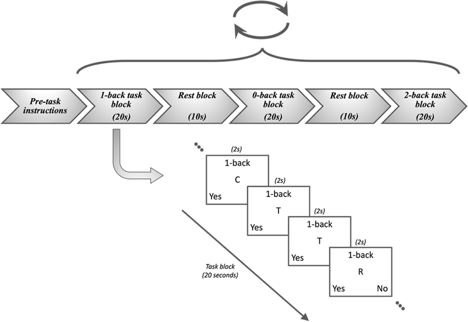 Working memory processes and the histamine-3 receptor in schizophrenia: a [11C]MK-8278 PET-fMRI study