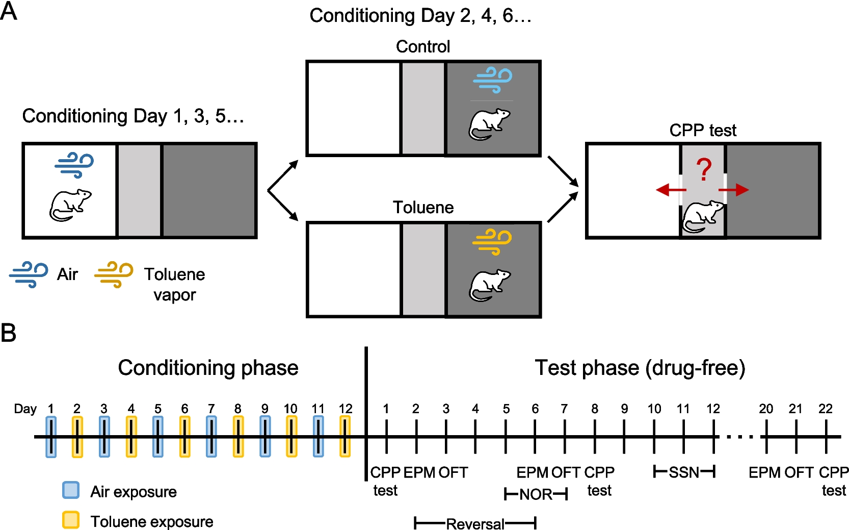 Repeated toluene inhalation in male and female adolescent rats induces persistent drug preference and impairs cognitive and social behavior