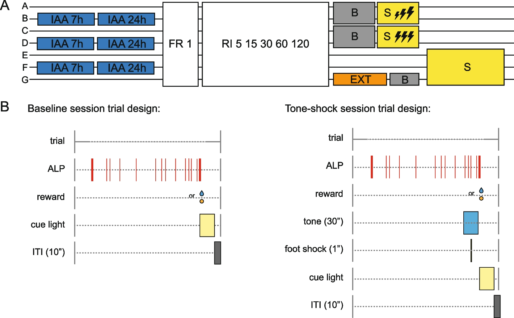 Seeking under threat of adversity: assessing control over reward pursuit in rats