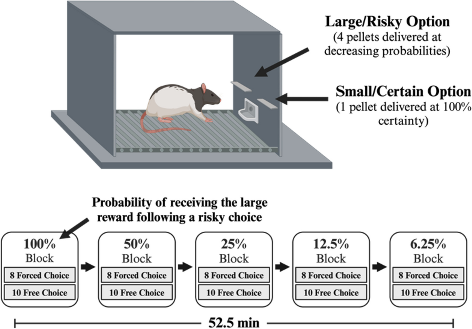 SK609, a novel dopamine D3 receptor agonist and norepinephrine transporter blocker with putative pro-cognitive actions, does not induce psychostimulant-like increases in risky choice during probabilistic discounting