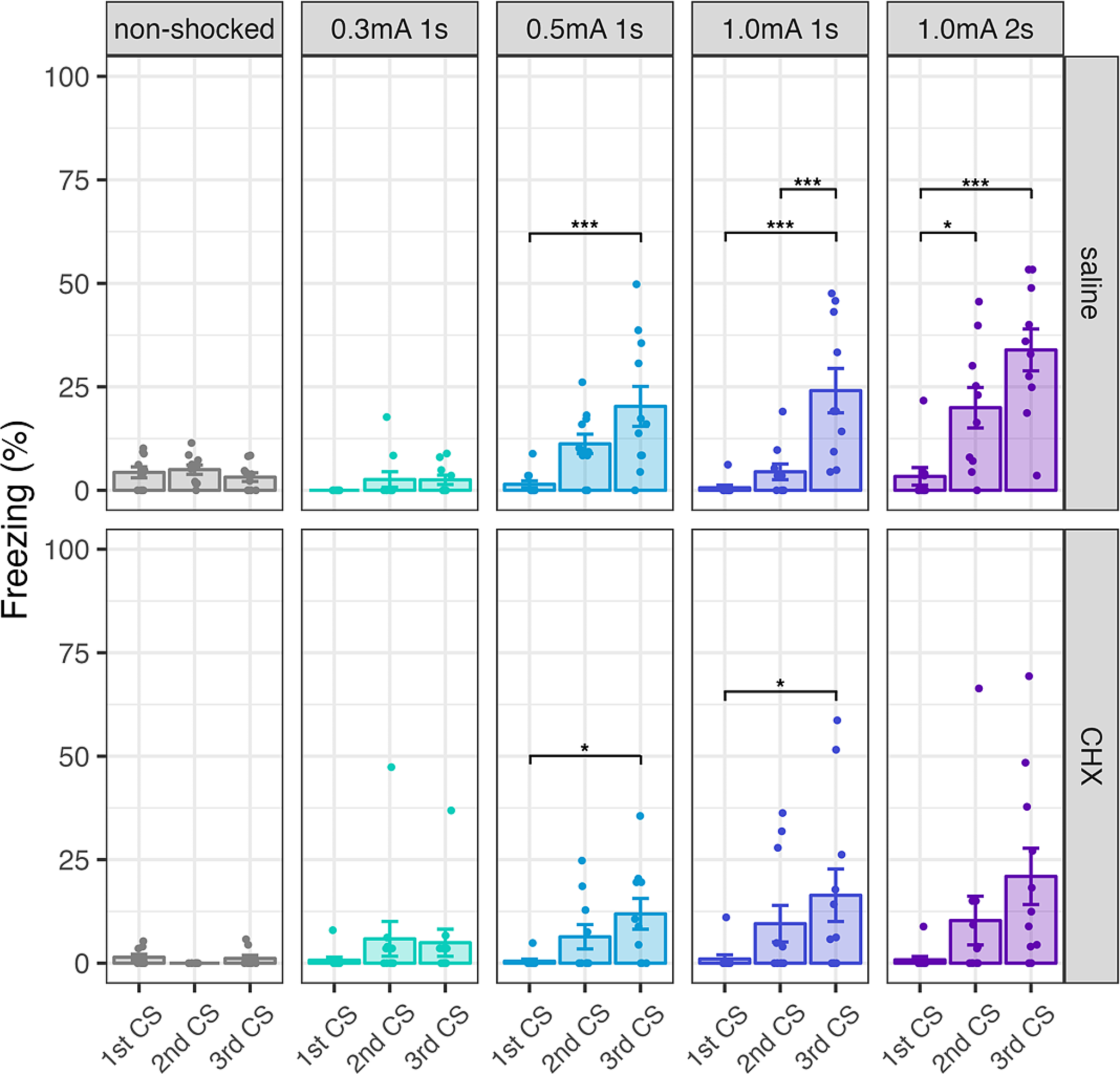 Fear generalization modulated by shock intensity and protein synthesis inhibitor