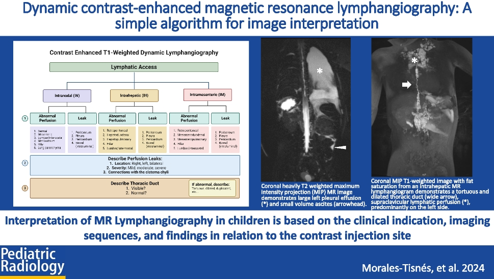 Dynamic contrast-enhanced magnetic resonance lymphangiography: a simple algorithm for image interpretation