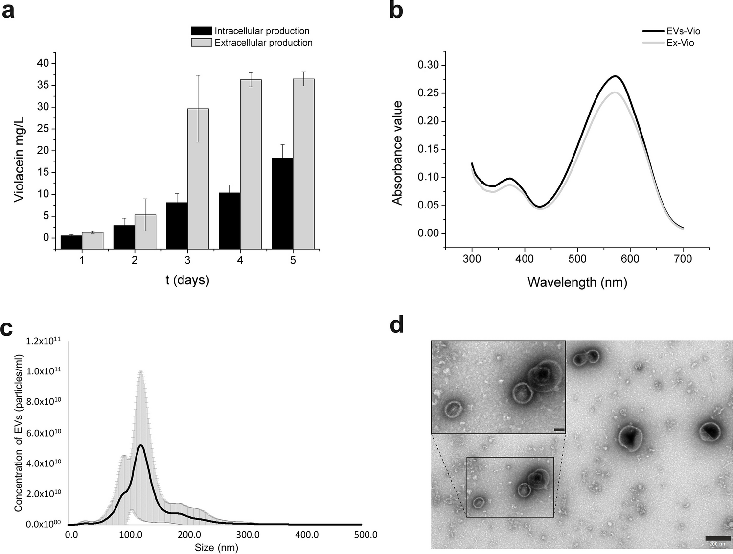 Extracellular vesicles of Janthinobacterium lividum as violacein carriers in melanoma cell treatment