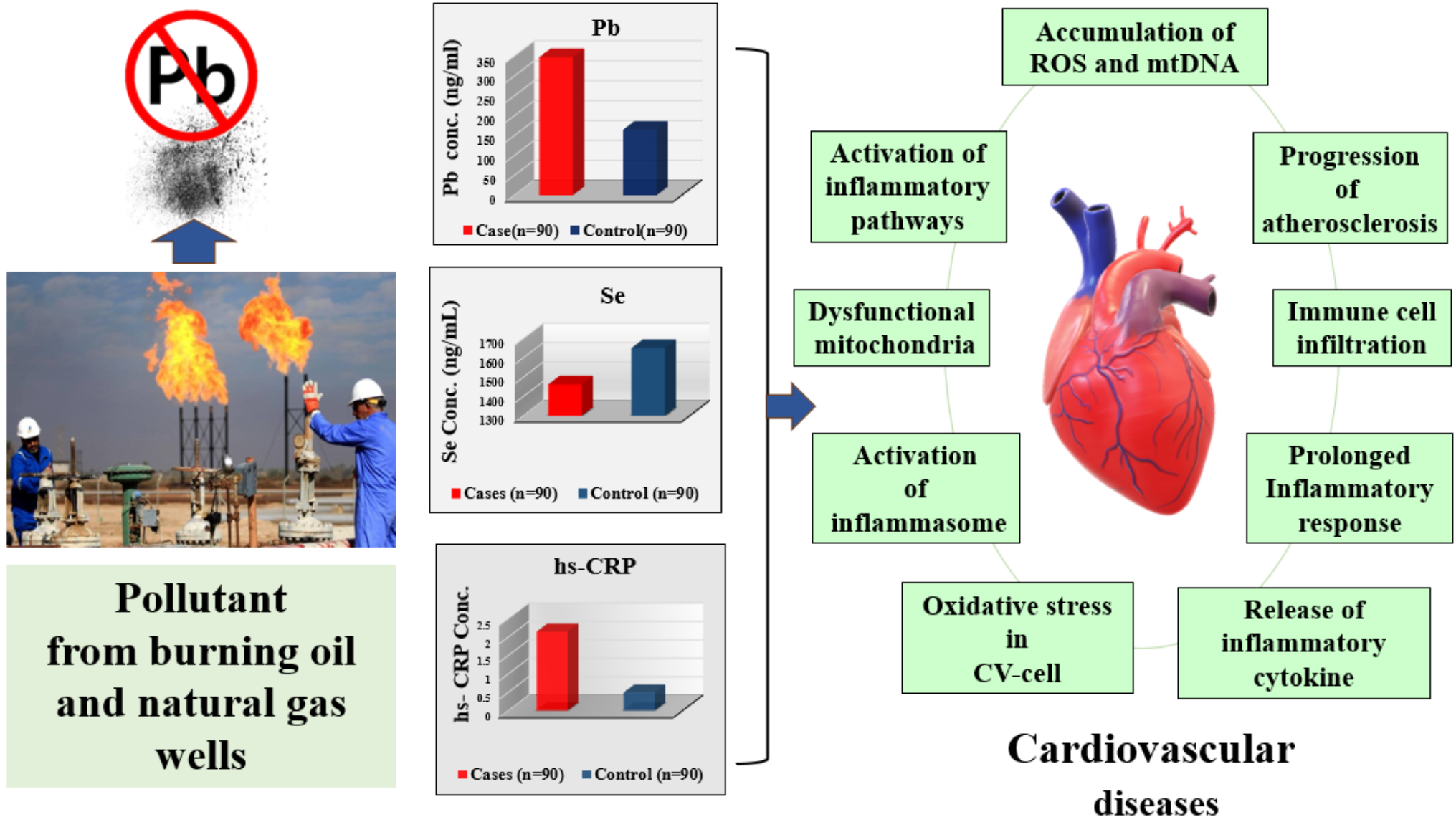 Occupational Exposure to Lead Increases Inflammation that Causes Cardiovascular Disease and Lowers Selenium levels